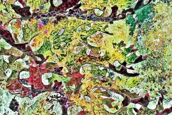 A 93C